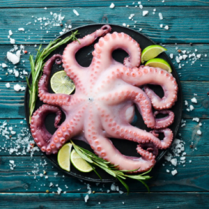 Octopus Frozen