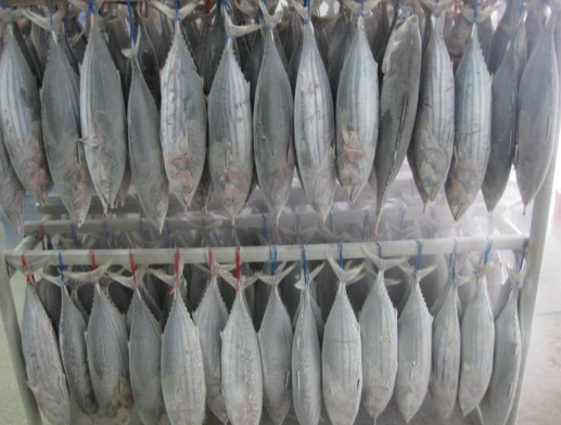 Oilfish / Ruvettus pretiosus For Sale - Paradise Sea Food