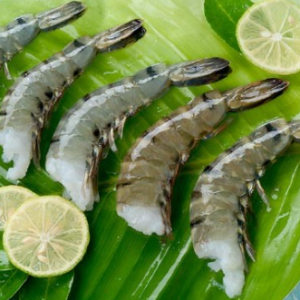 Black Tiger Shrimp Frozen