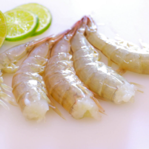 Vannamei Shrimp Frozen