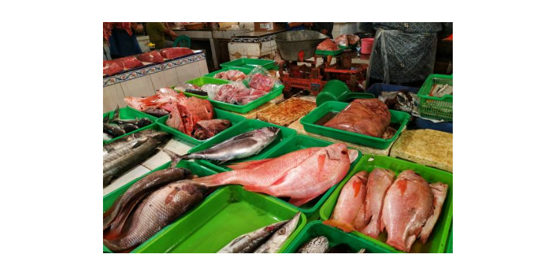 Seafood Market