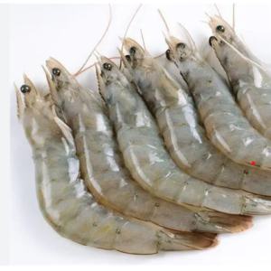 Shrimp Product